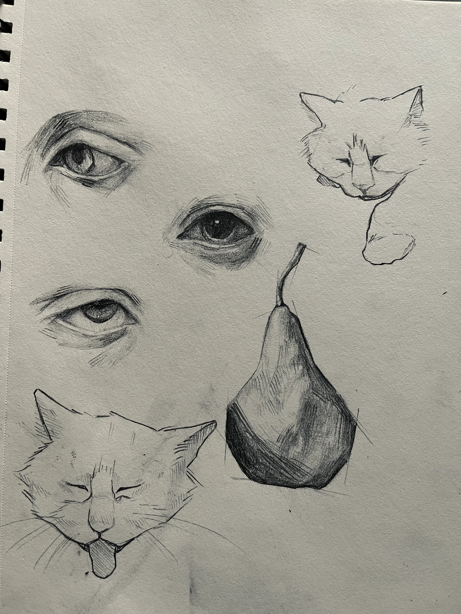 Doodles character artwork