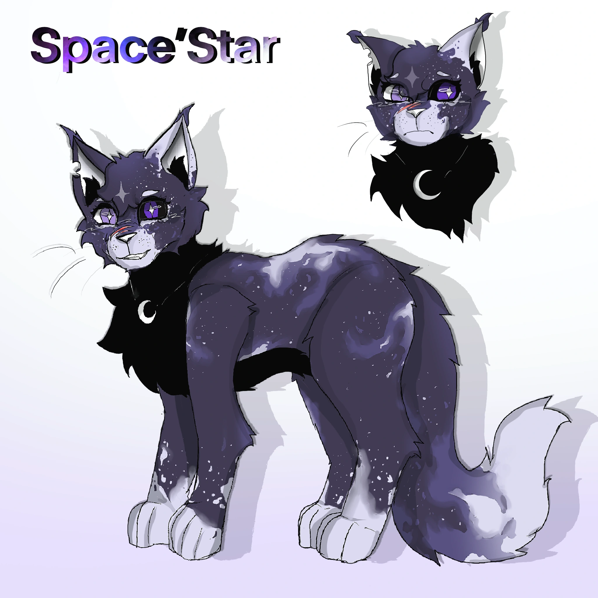 SpaceStar character artwork