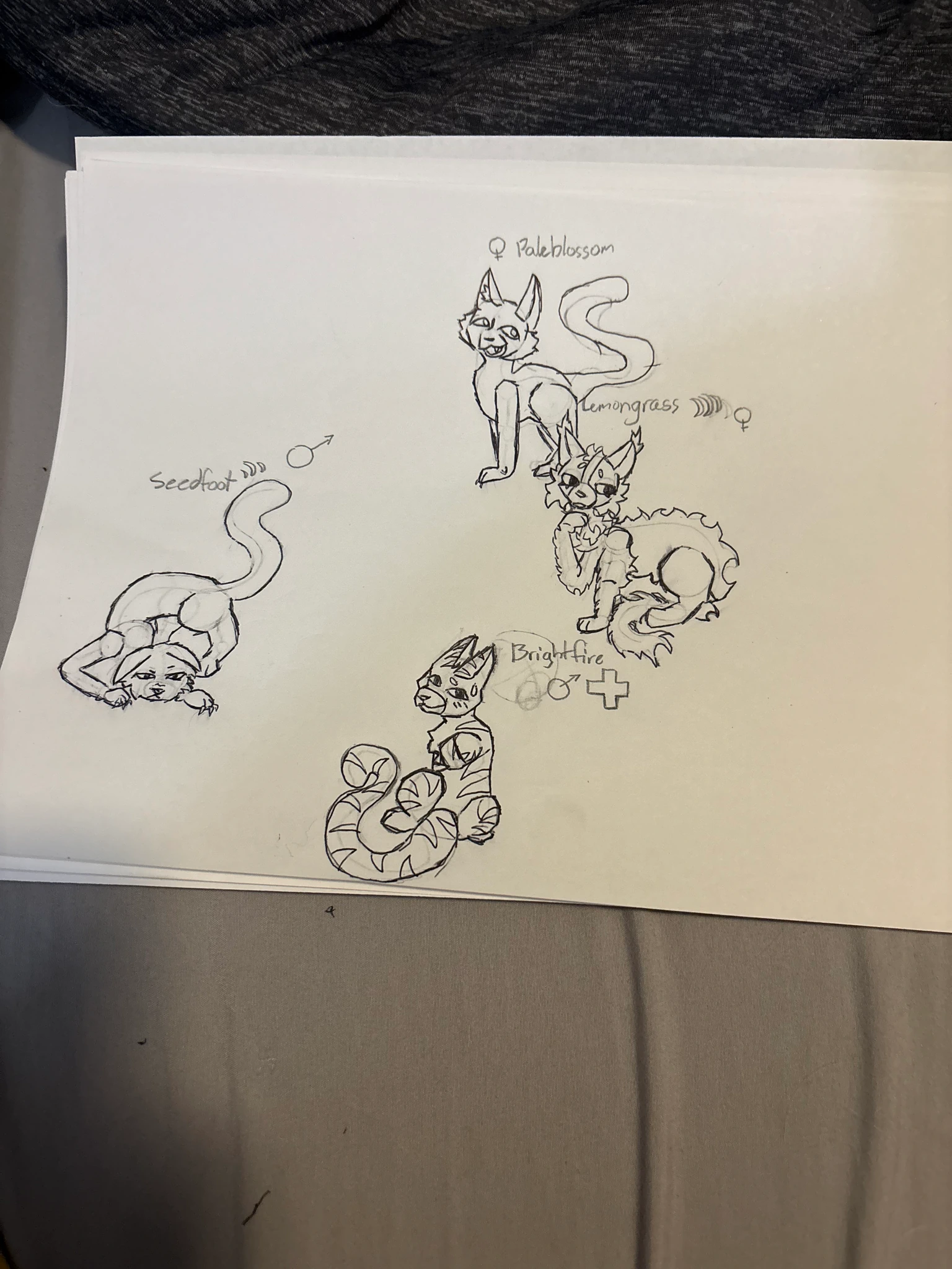 Warrior Cats Fan Story!! character artwork