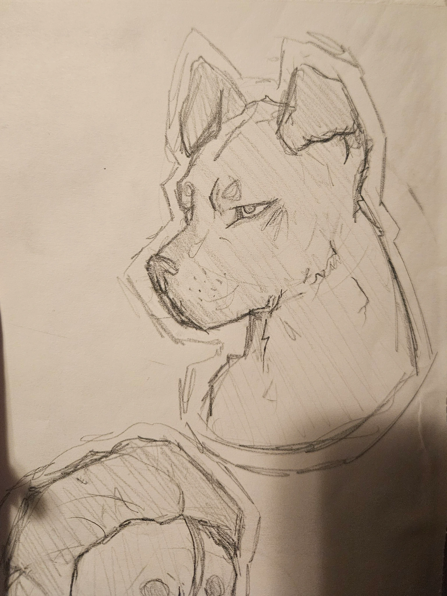 Dog character artwork