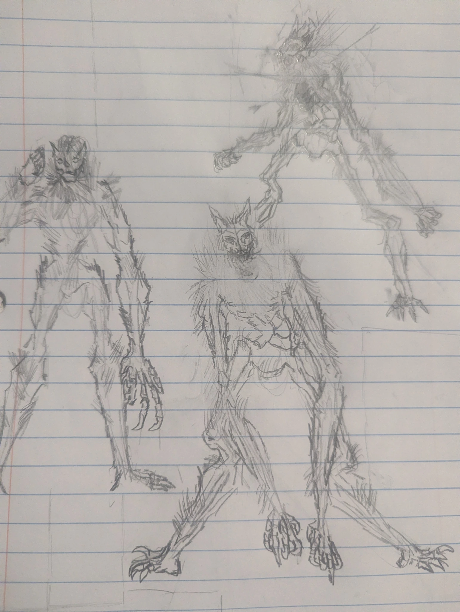 "Werewolfs " character artwork