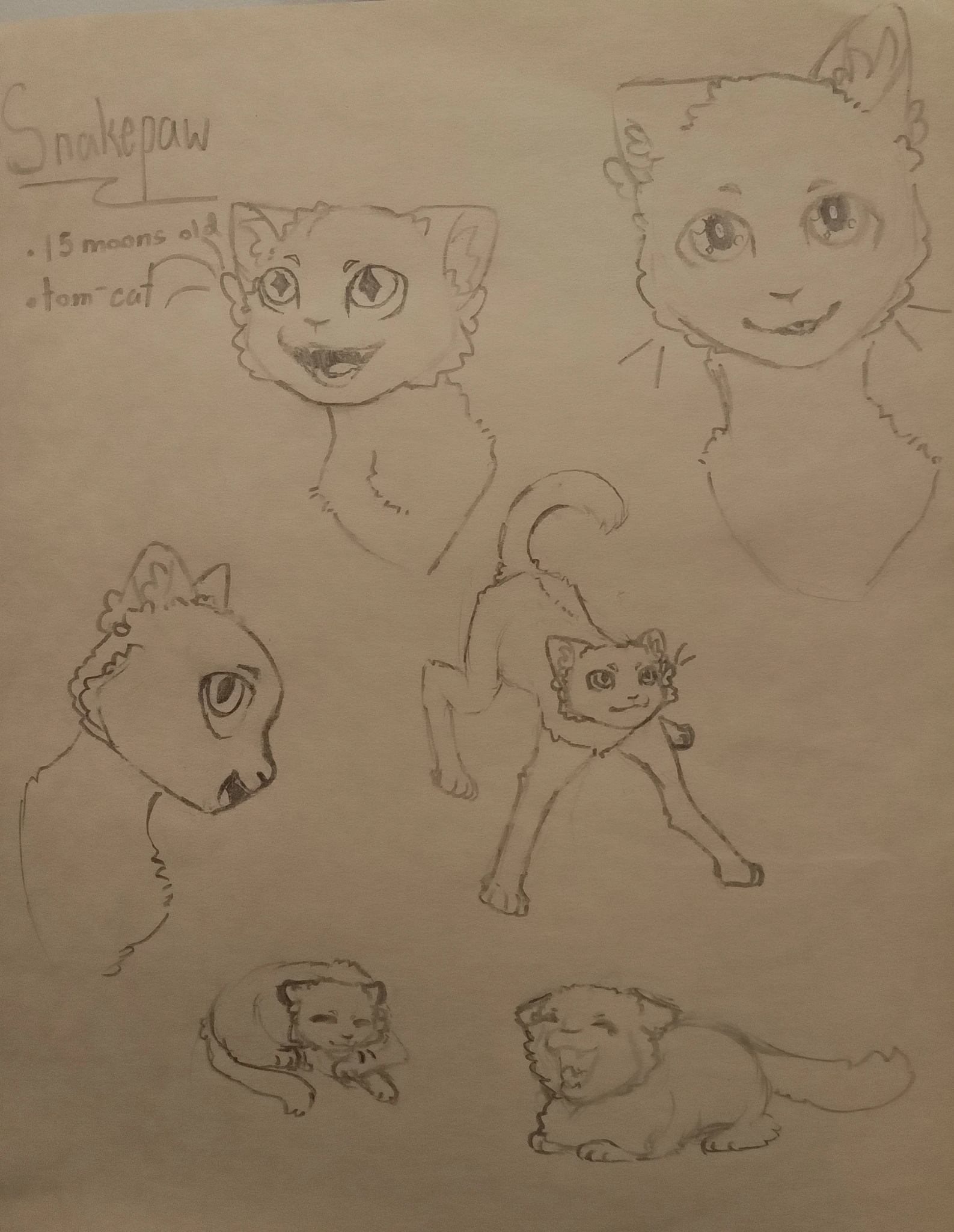 Snakepaw character artwork