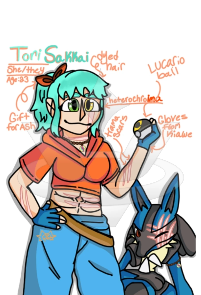 Tori sakki character artwork