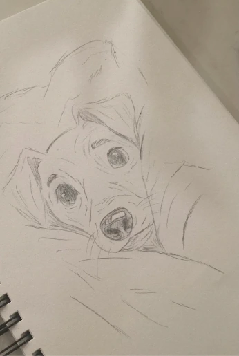 Doggo character artwork
