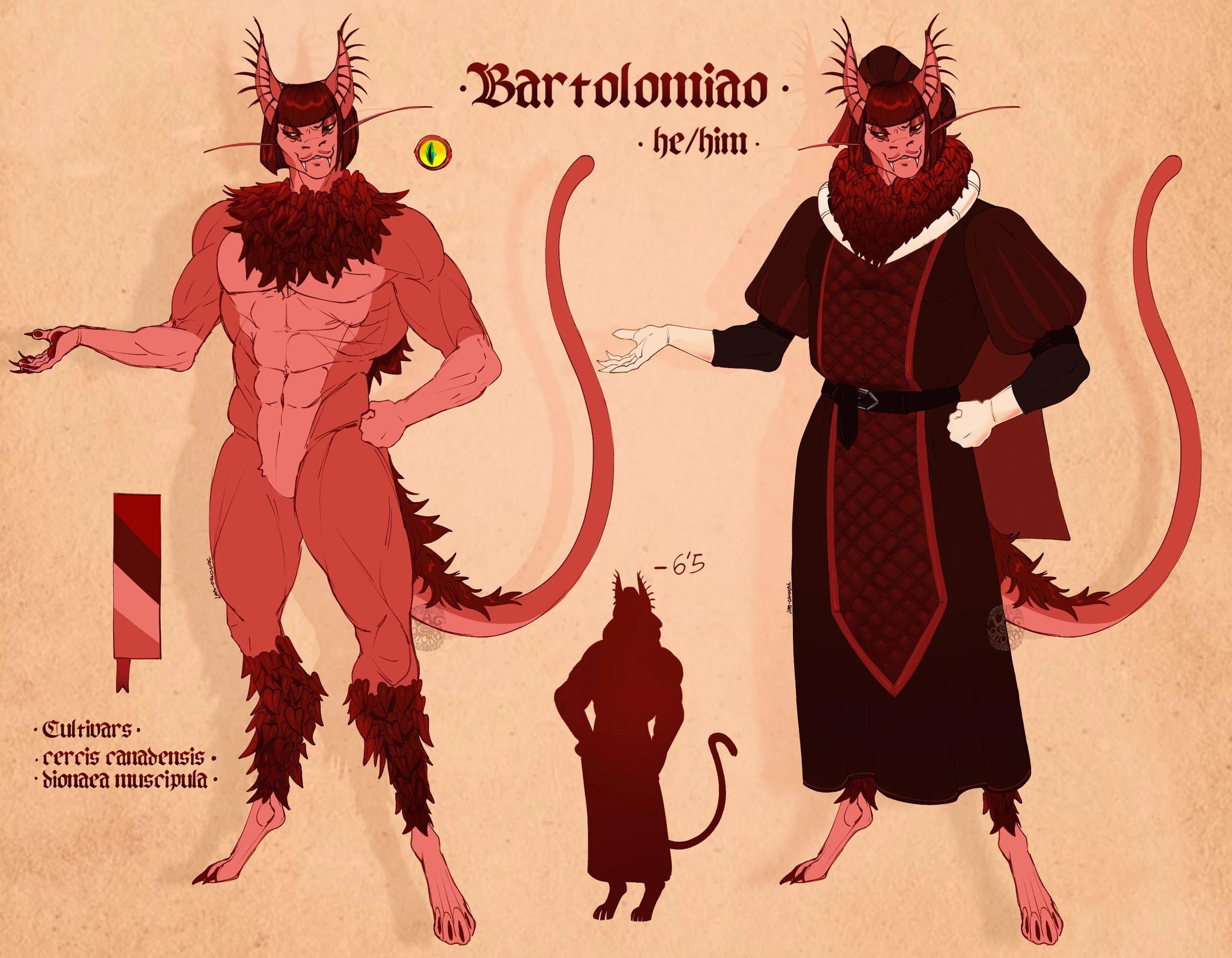 Bartolomiao Corellini character artwork