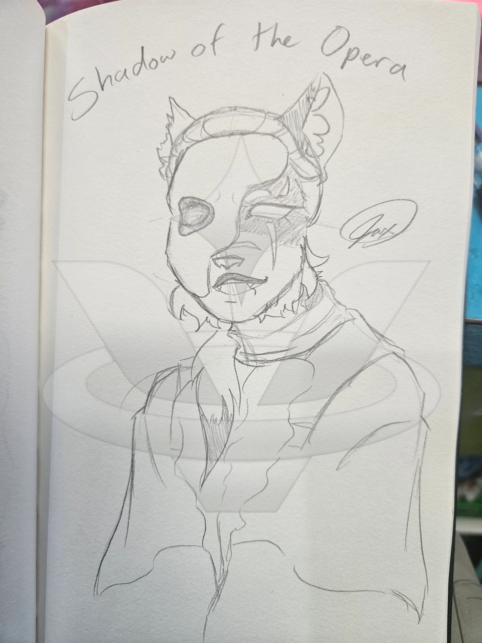Shadowstar (Warriors Cats) character artwork