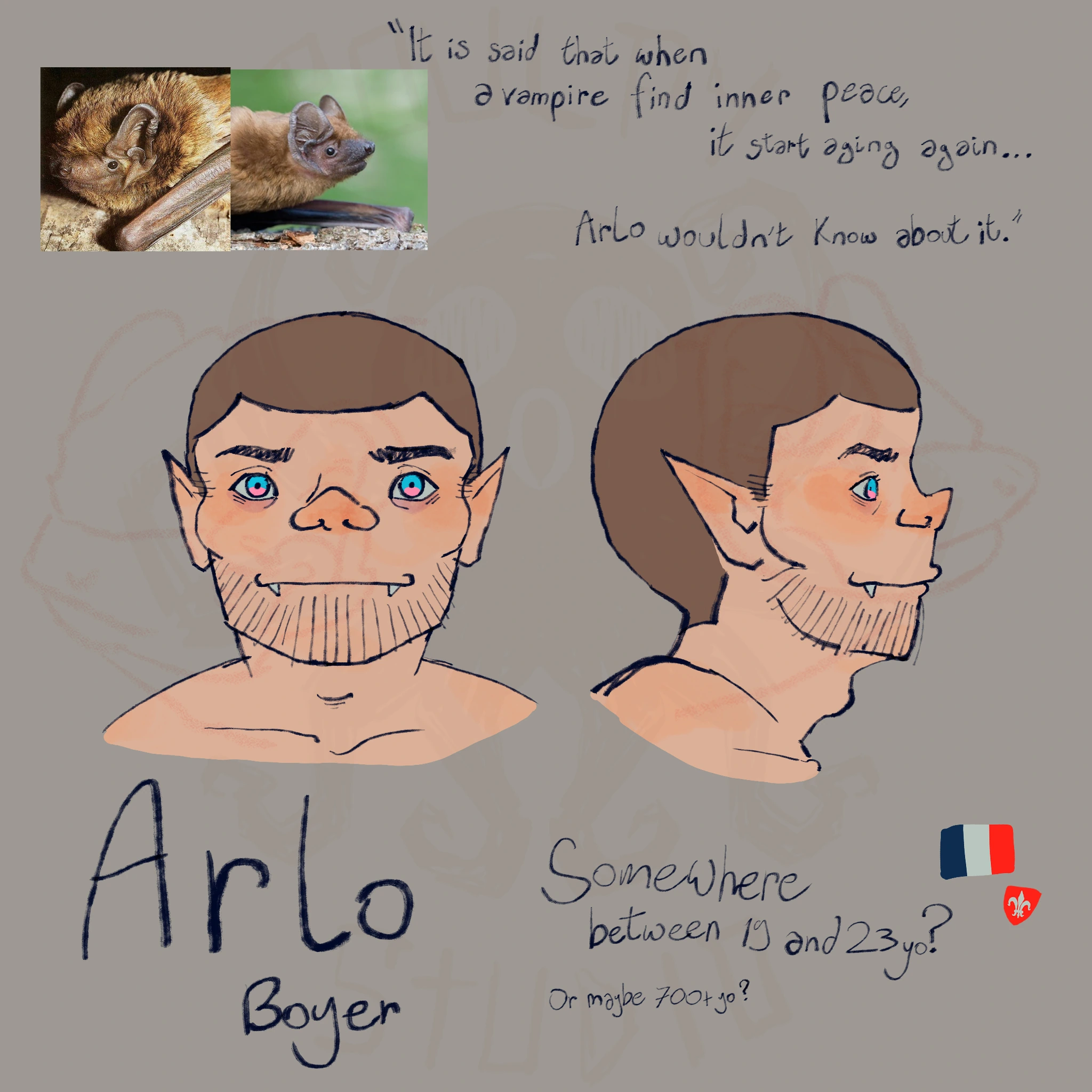 Arlo character artwork