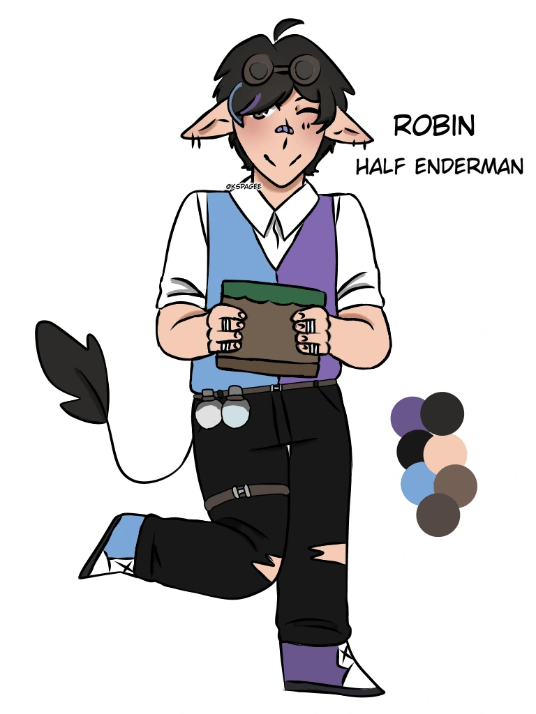 Minecraft! Robin character artwork