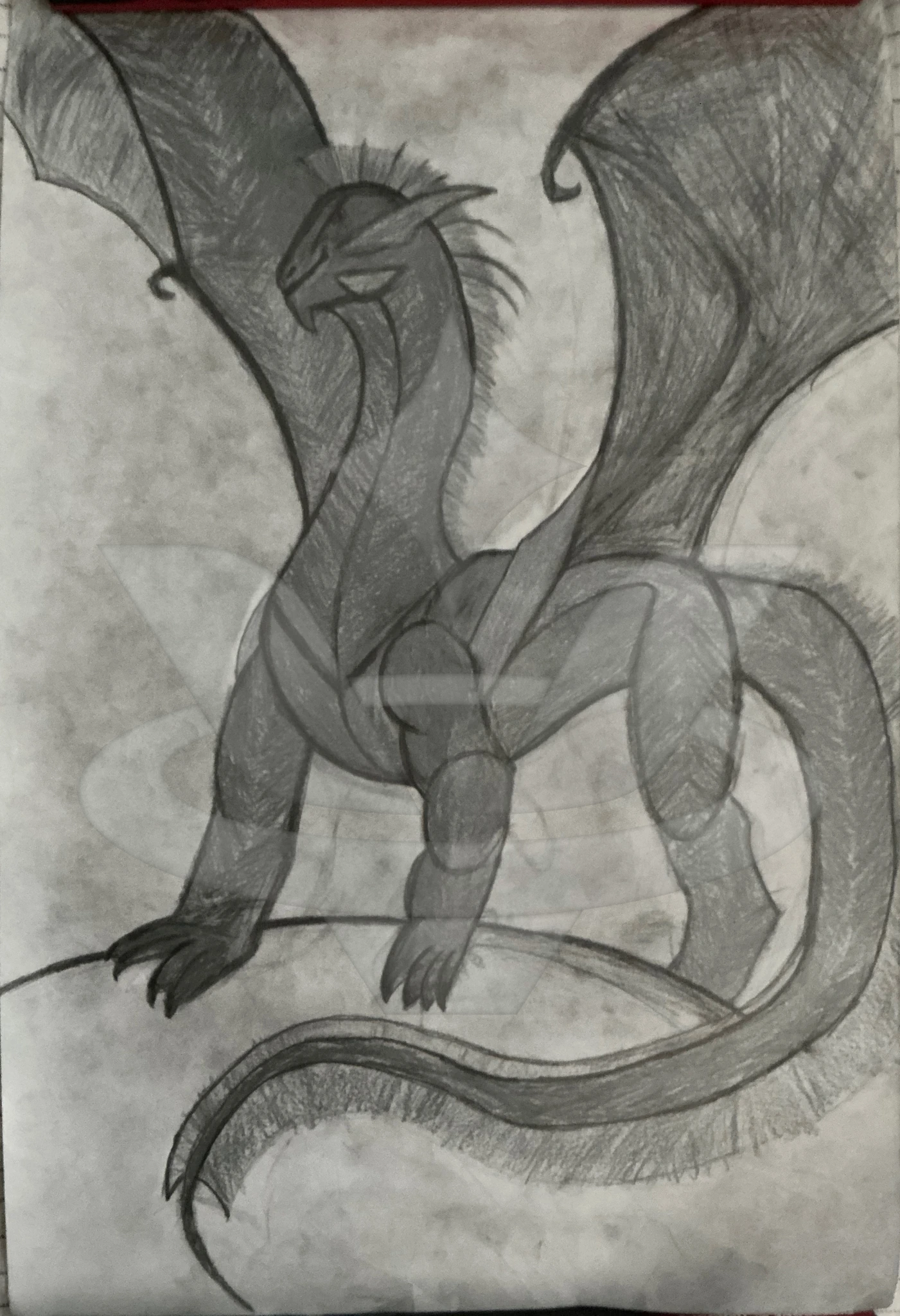 Jakkalis character artwork
