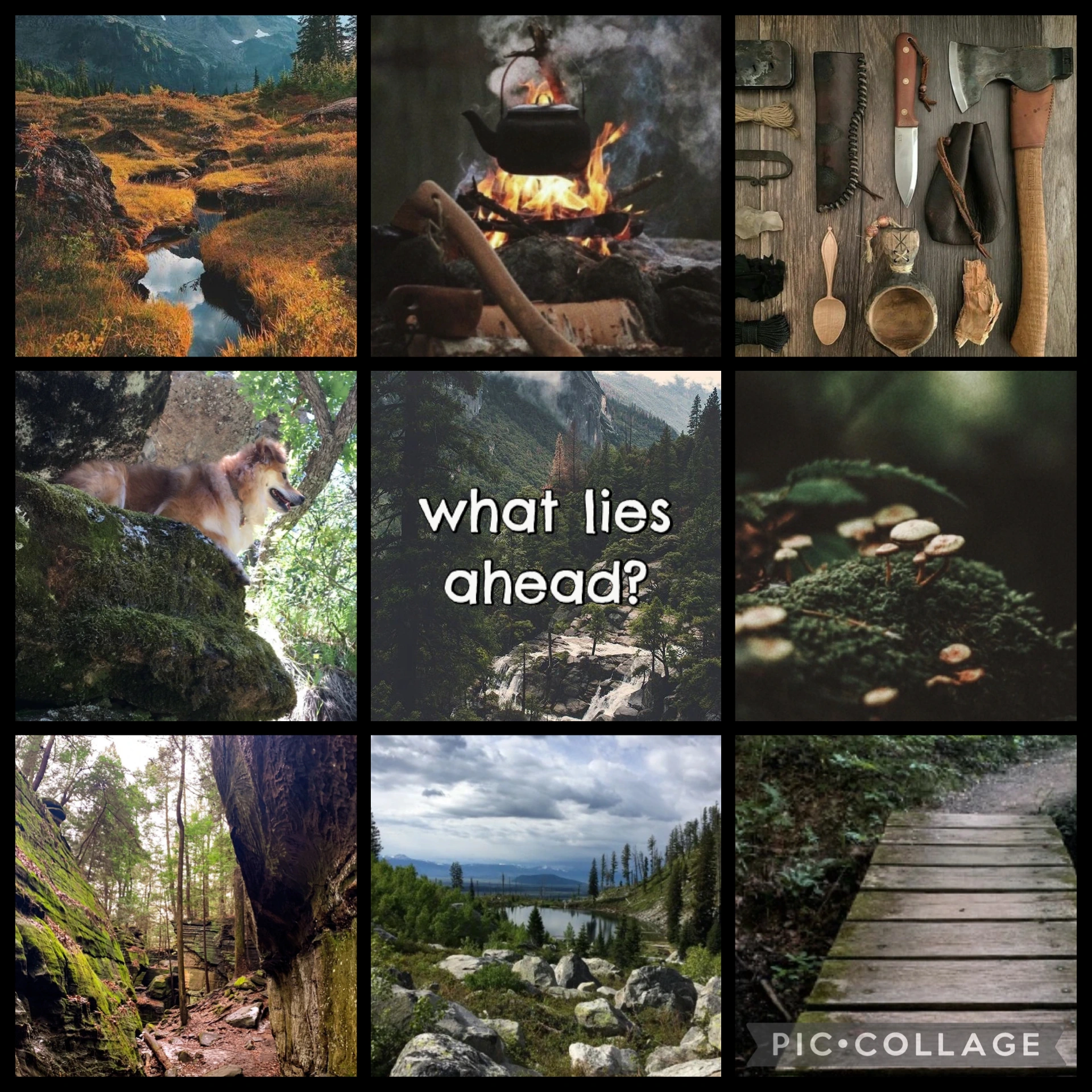 Moodboards I’ve Made >:3 character artwork