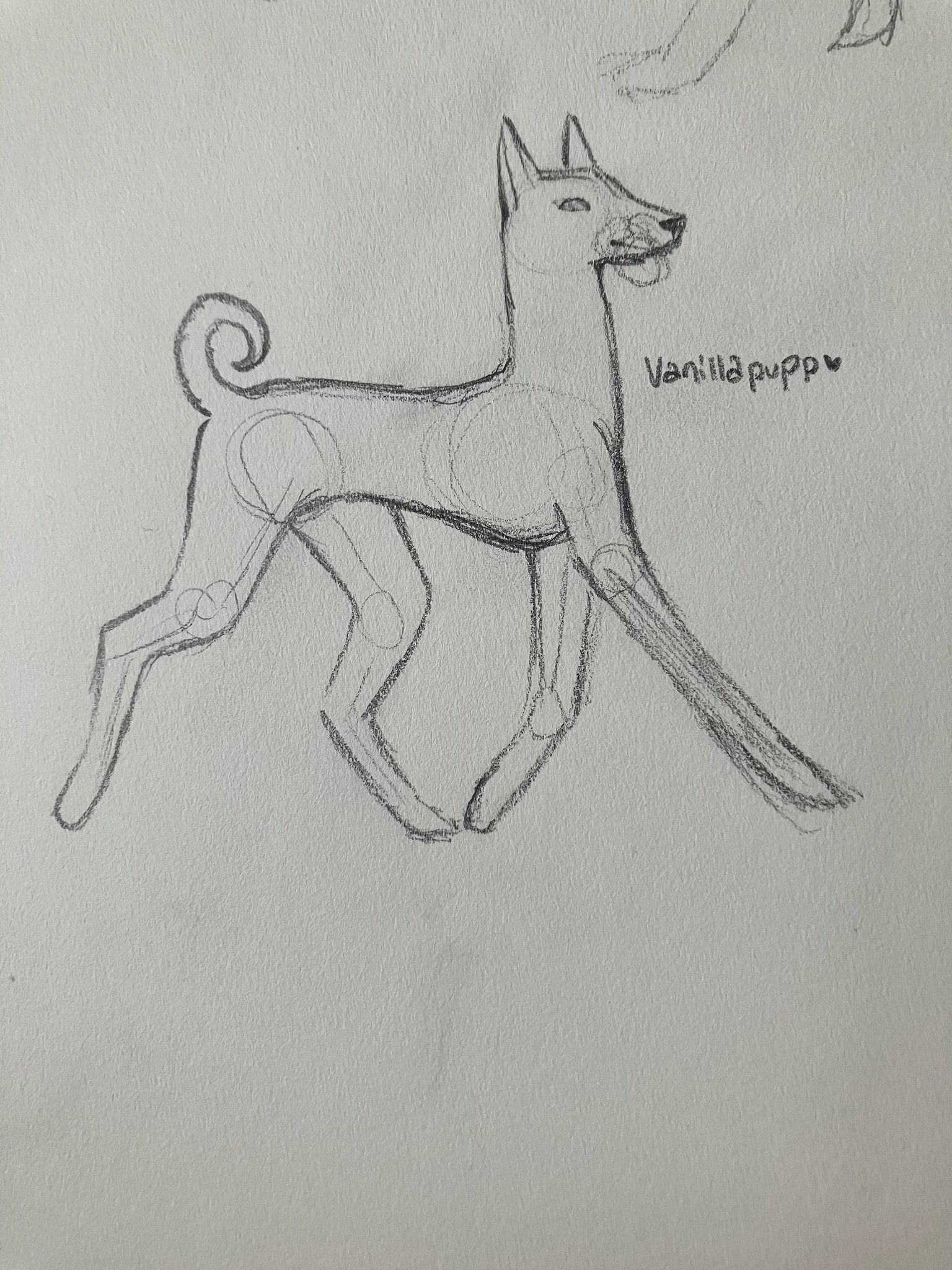 doggy dog sketch character artwork