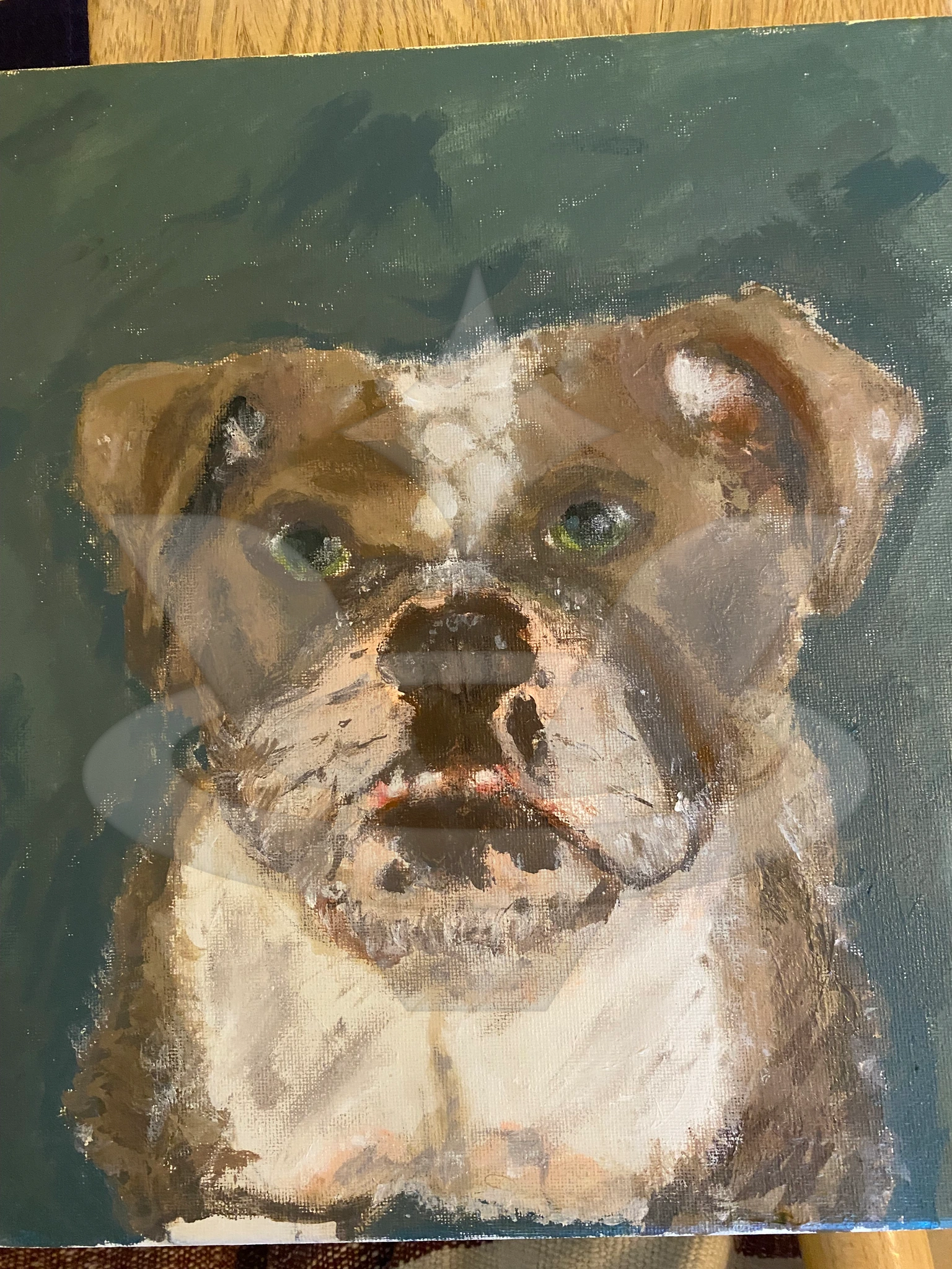 One of my dogs Luna : D character artwork