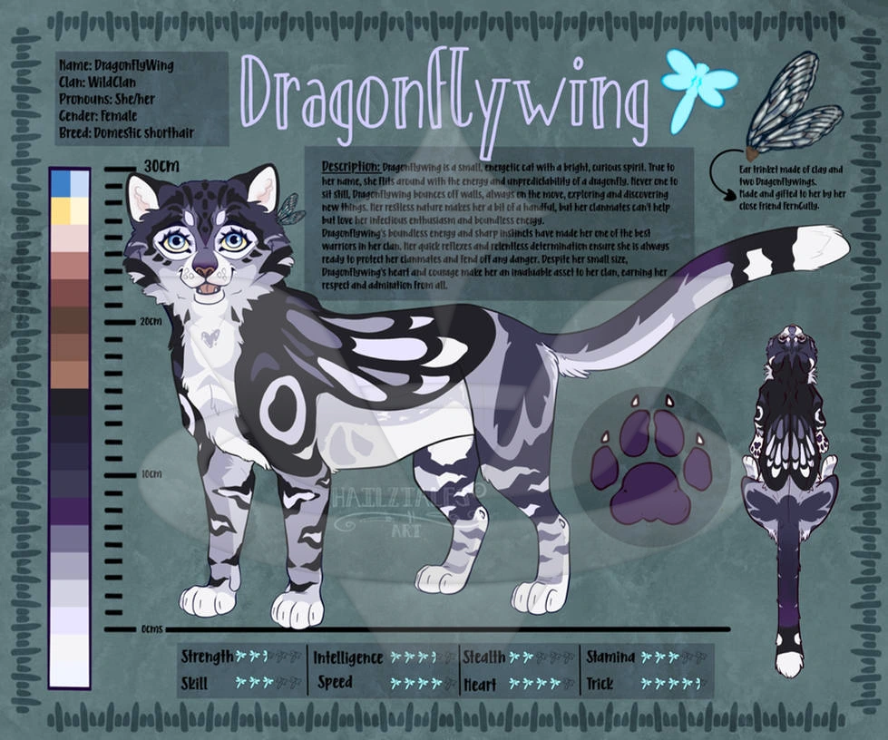 Dragonflywing character artwork