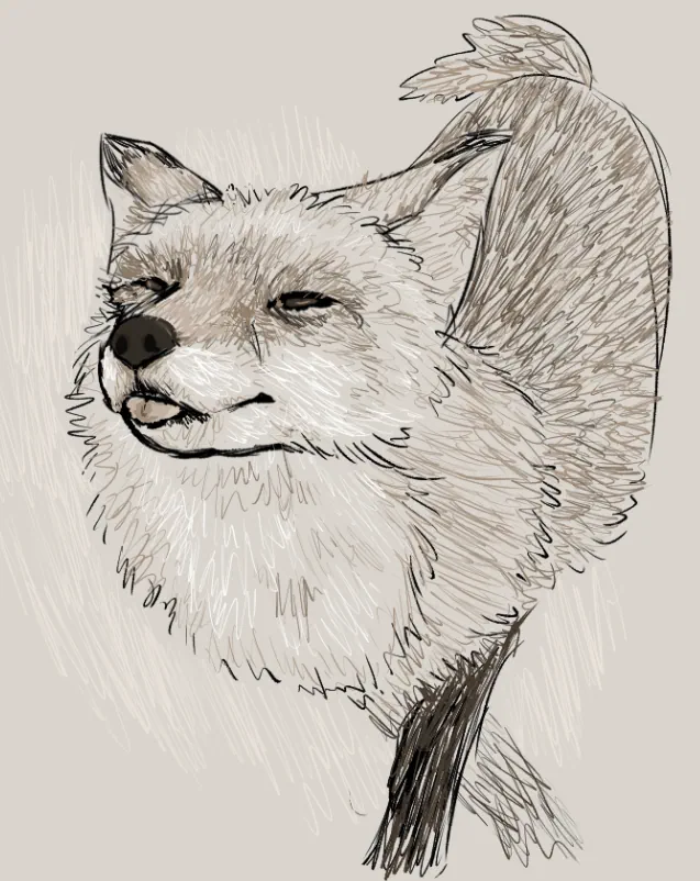 Animal Sketches world artwork