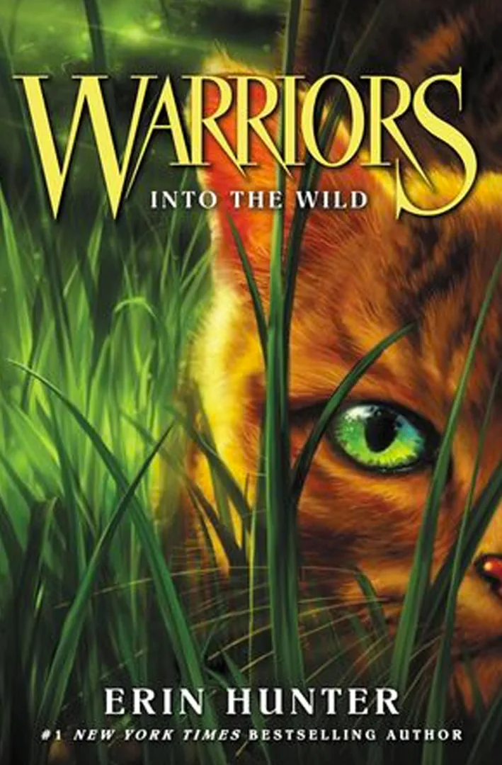 Warrior Cats world artwork