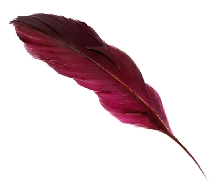 Fantasy Feathers world artwork
