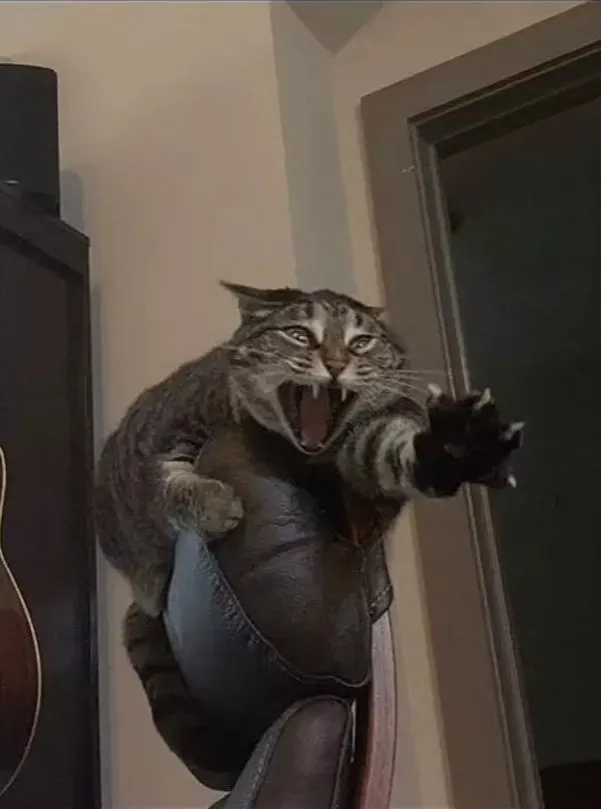 Cats!!! world artwork