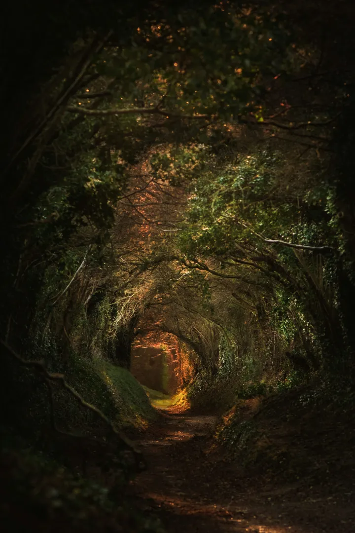 Fantasy world artwork