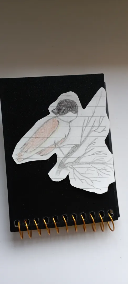Birdie Birds world artwork