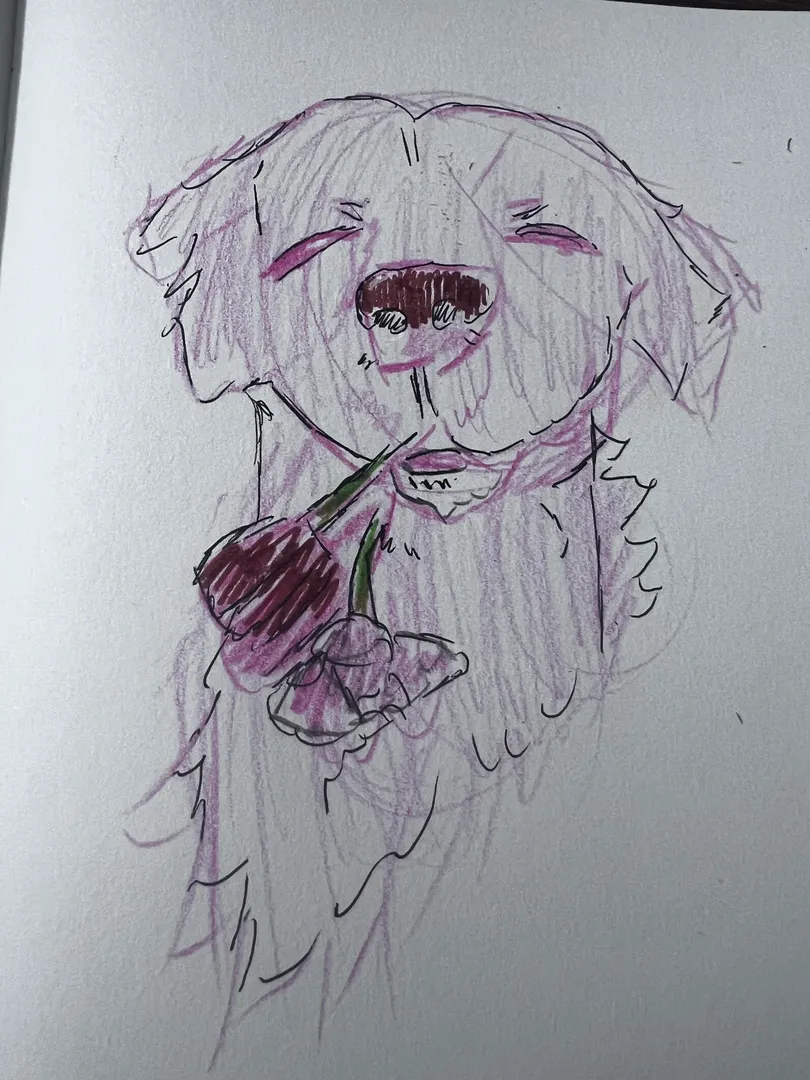 dogo world artwork