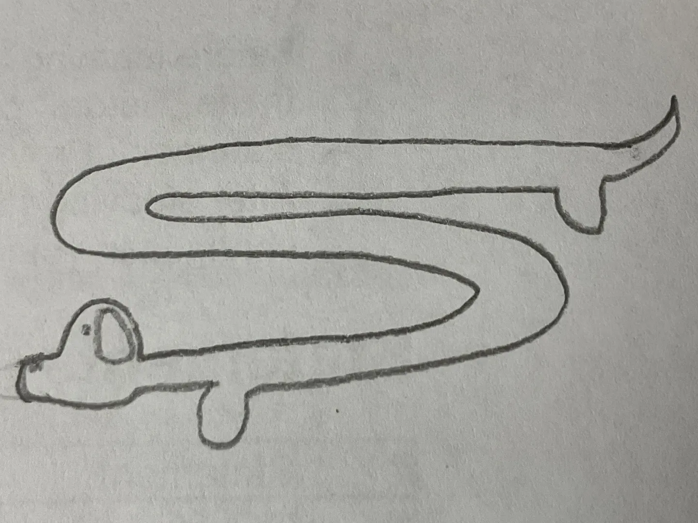 Doges world artwork