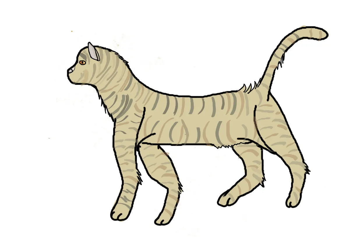 Warrior cats fan-fiction world artwork
