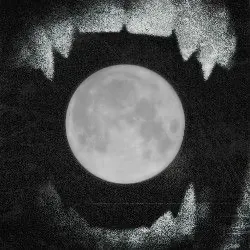 Love of The Night world artwork