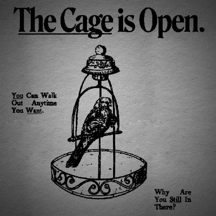 Birdcage world artwork